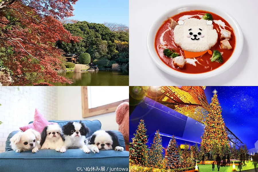 紅葉の庭園開放やイルミネーションも！週末に行きたい東京イベントランキングTOP10【2018年11月7日版】
