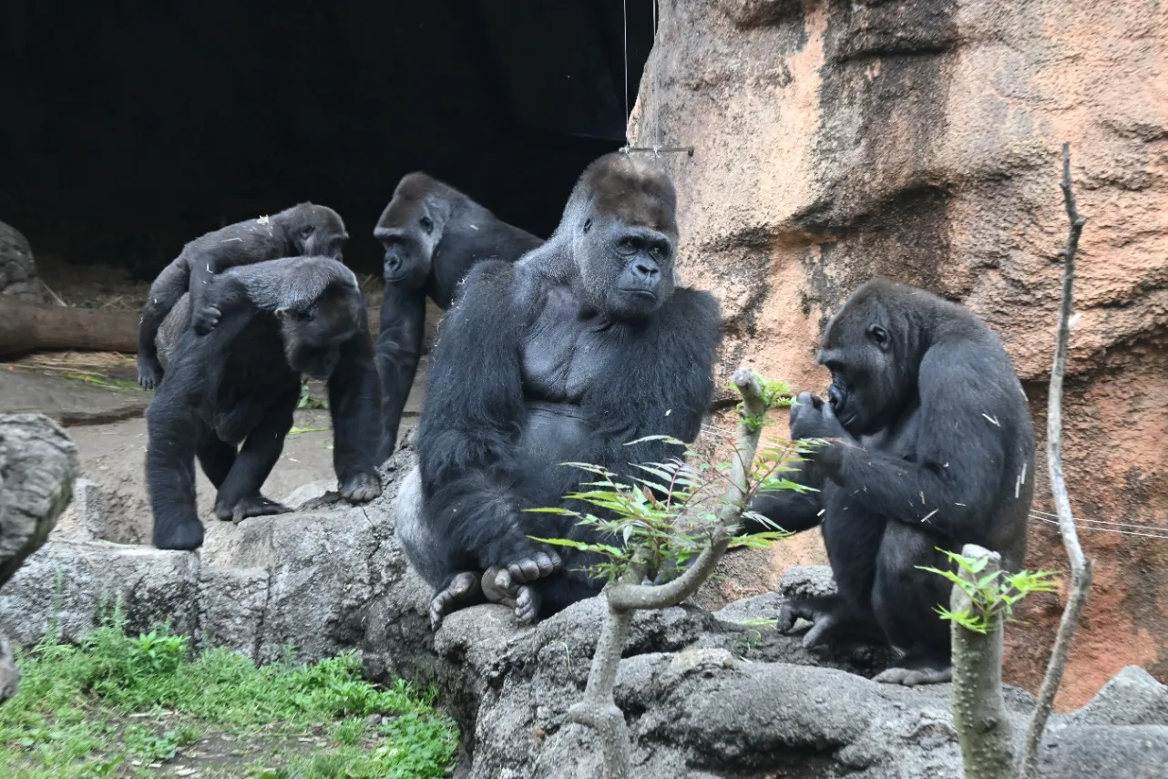 ▲画像提供：(公財)東京動物園協会
