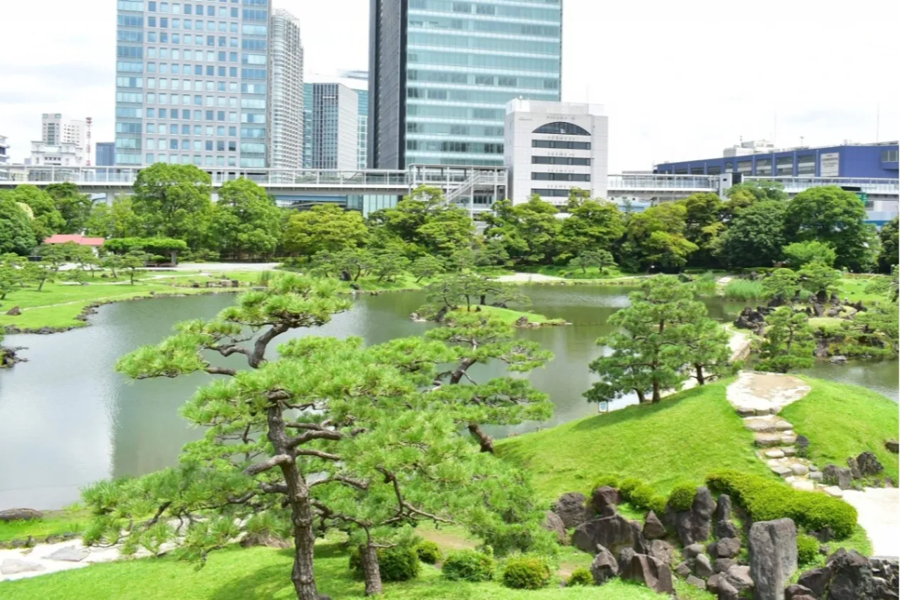 ▲大山からの眺望‗画像提供：公益財団法人東京都公園協