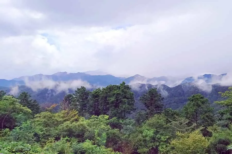 初心者でも気軽に楽しめる、高尾山ハイキングレポ