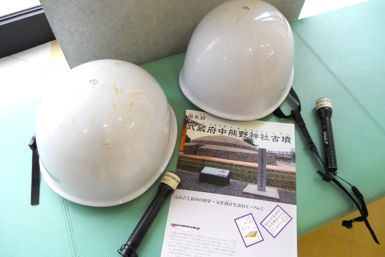 【府中】近代建築のような「武蔵府中熊野神社古墳」古墳シンガーまりこふんのイチ推し。_701020