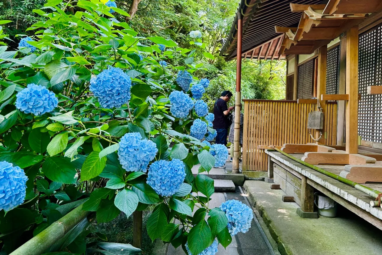 ▲「本堂後庭園」入口