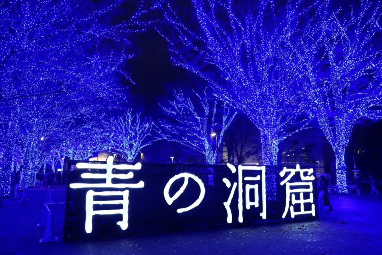 ※過去開催時の様子