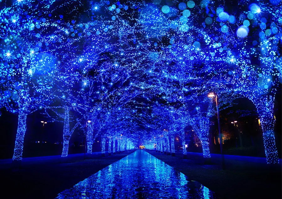 渋谷でクリスマスデート！オススメのスポット5選【2025】