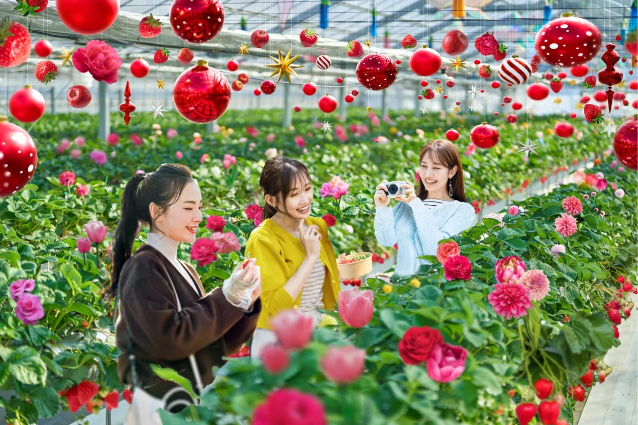 白いちごも！都内＆東京近郊イチゴ狩りスポット5選_3250748