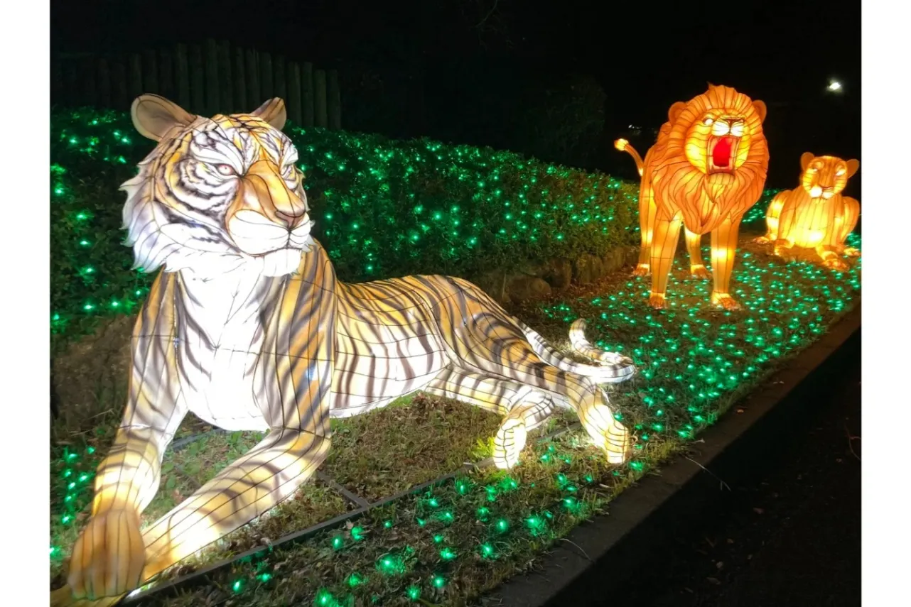 ▲提供：東武動物公園