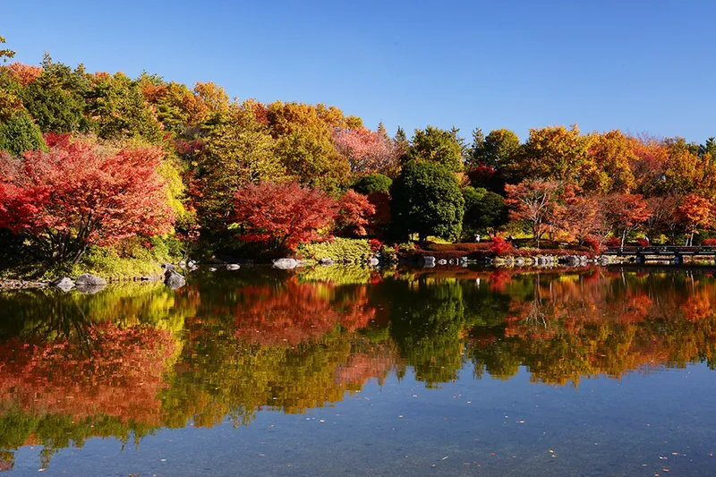 2021年の見ごろは？関東の紅葉名所12選