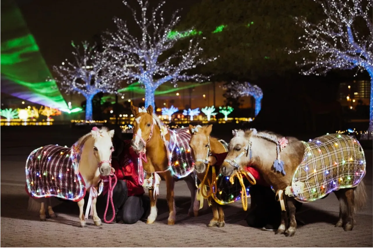 冬デートの大定番！東京のイルミネーションデート11選【2025-2026】_3129965