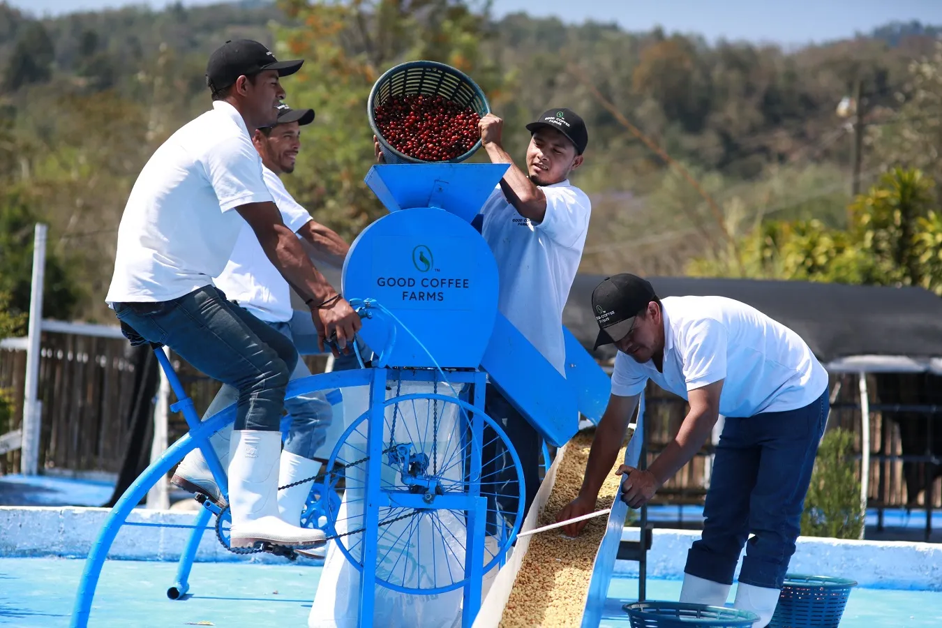▲GOOD COFFEE FARMSが発案した自転車脱穀機。人力で動かすことができる