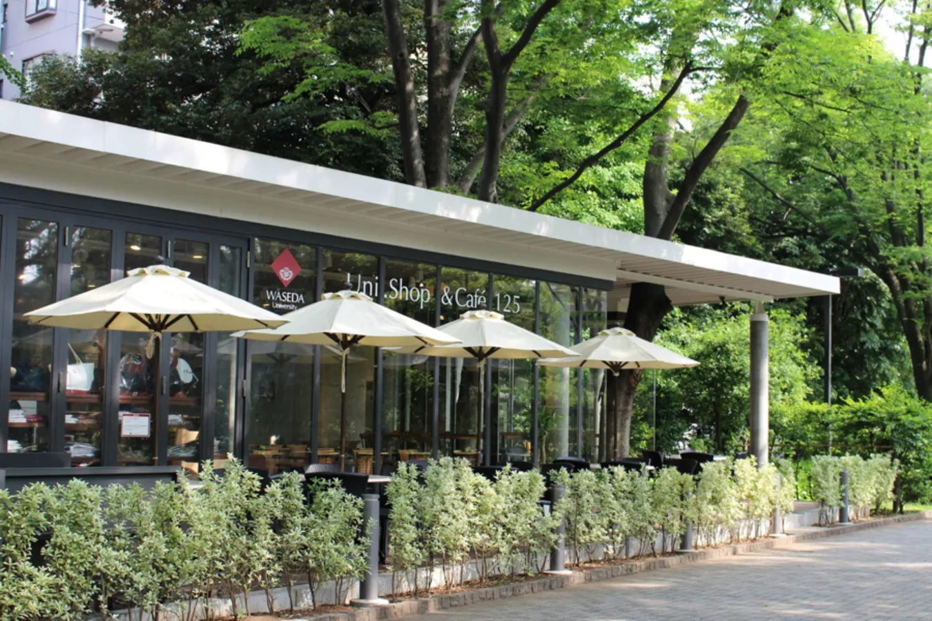 「ここは東京!?」緑あふれる自然の中にある‟森カフェ”3選_1644659