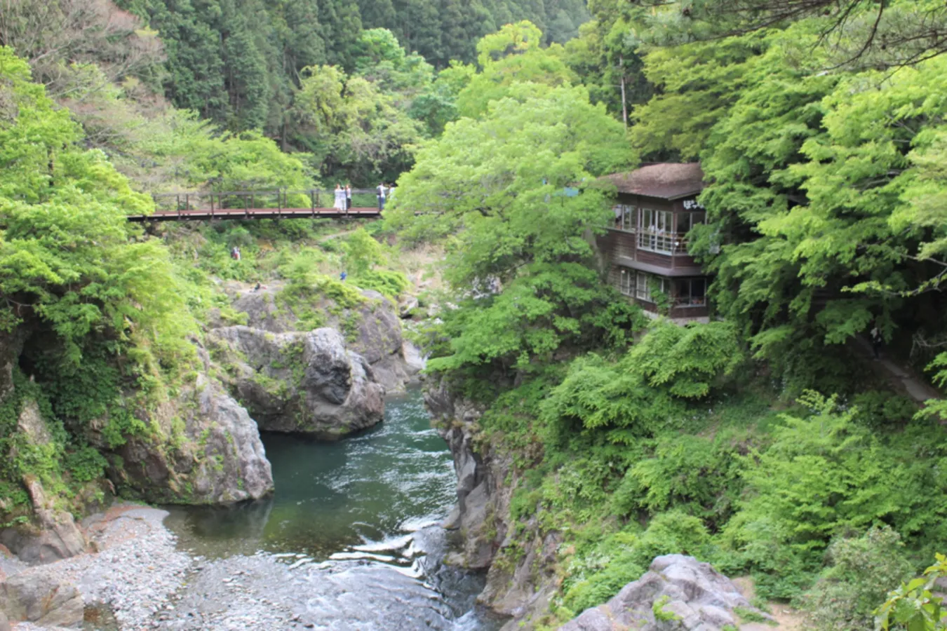 東京で森林浴気分！自然の中にあるカフェ3選_2807658