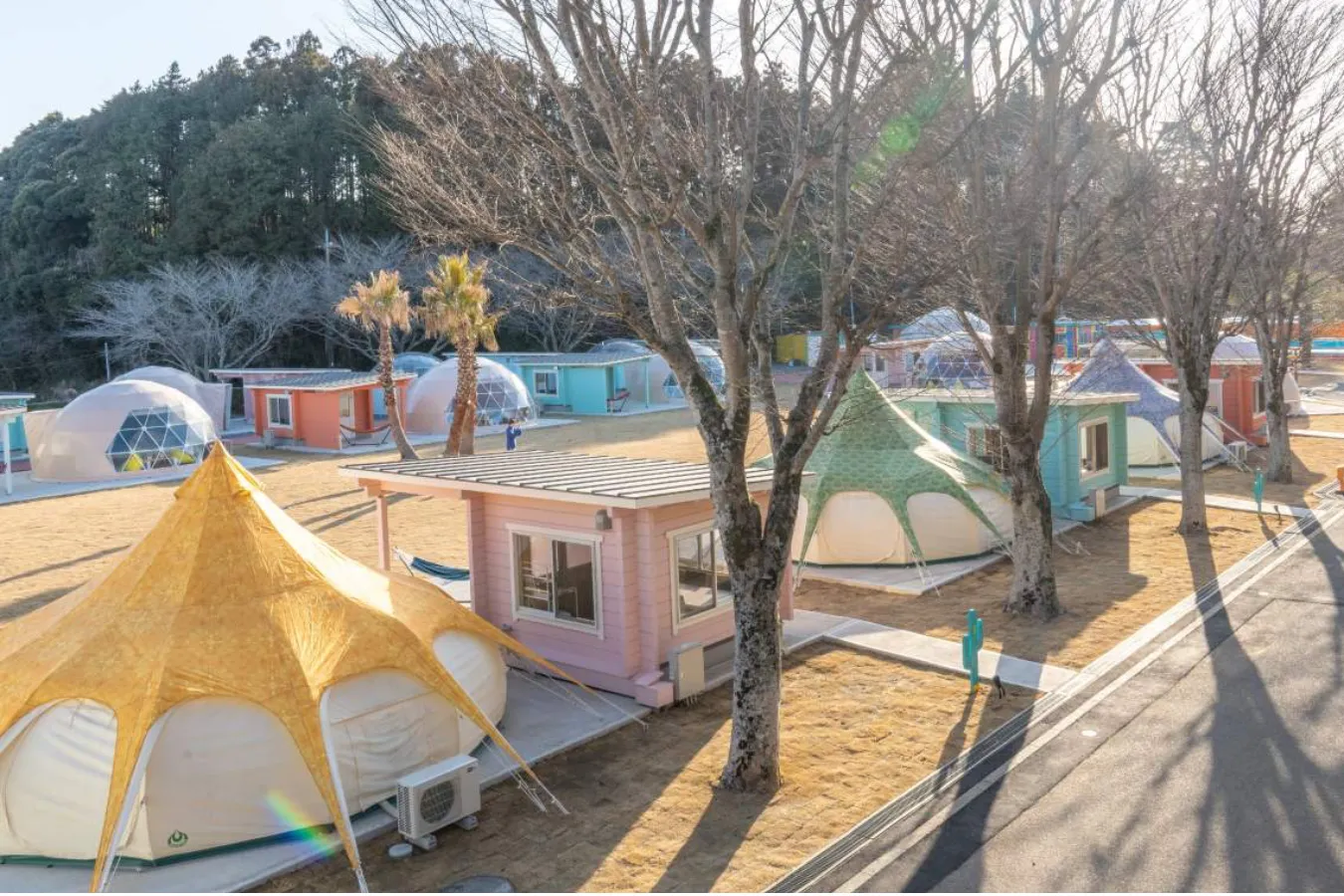 ▲玉ねぎ型の「カルパテント」