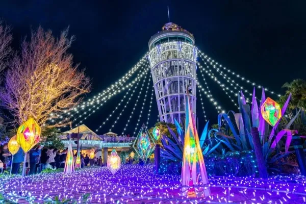 【関東】覚えておくと超便利！「クリスマスデート」スポット14選