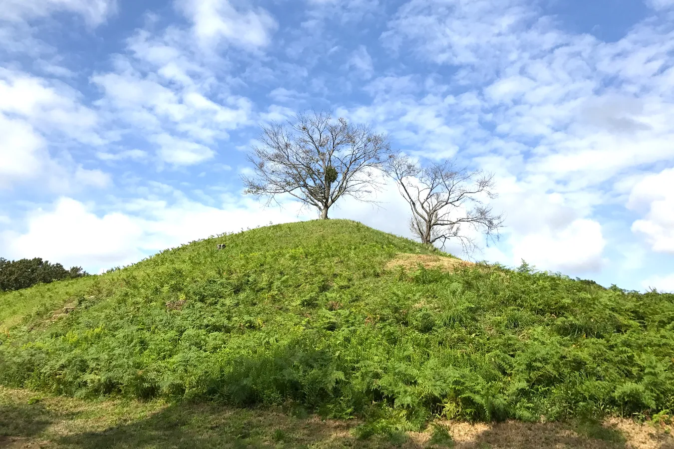 ▲10月ごろの「岩屋古墳」
