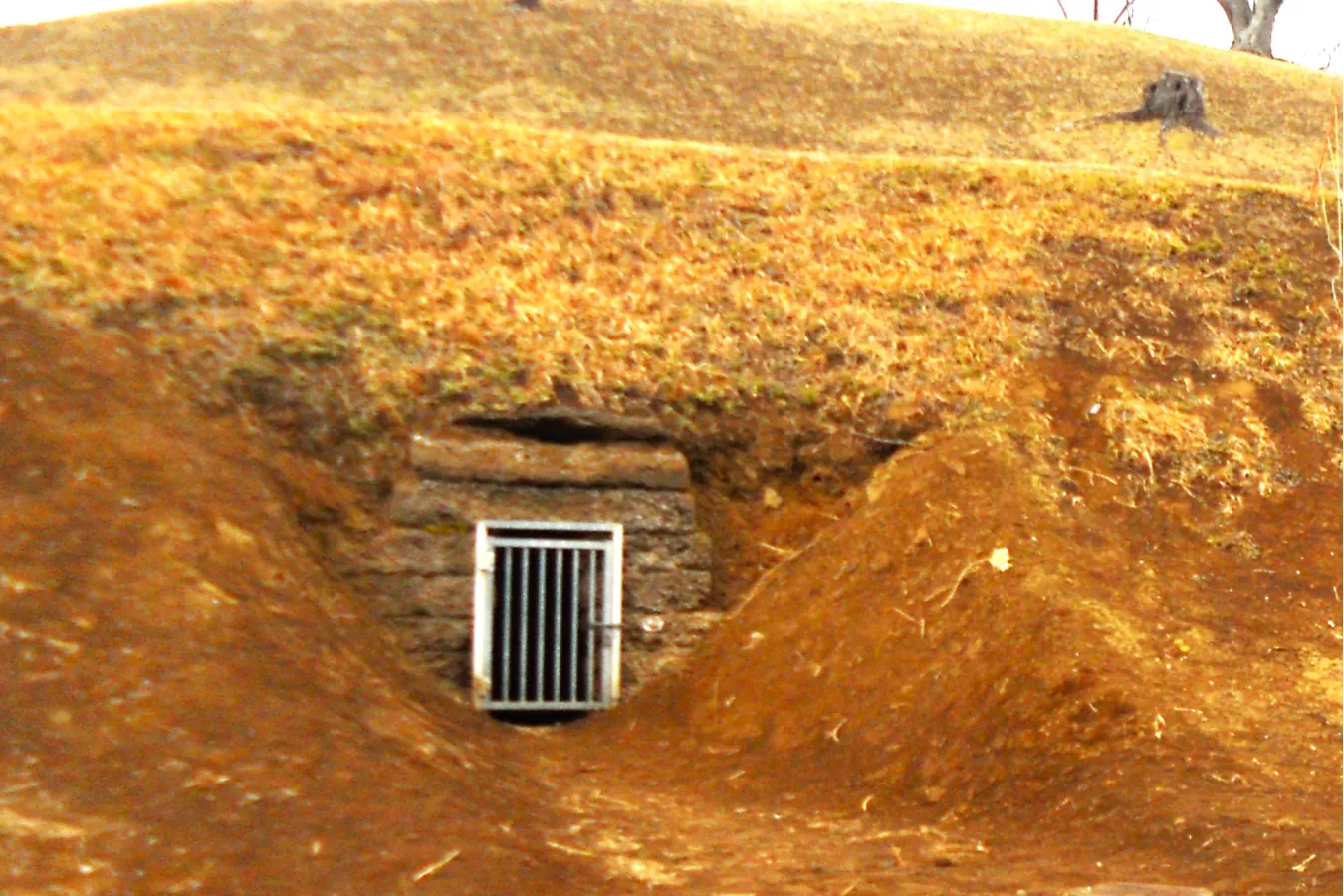 日本最大級の方墳も！千葉「龍角寺古墳群」古墳シンガーまりこふんのイチ推し。_900554
