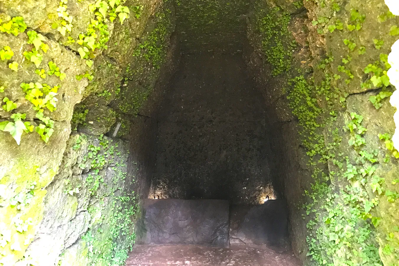 日本最大級の方墳も！千葉「龍角寺古墳群」古墳シンガーまりこふんのイチ推し。_900555