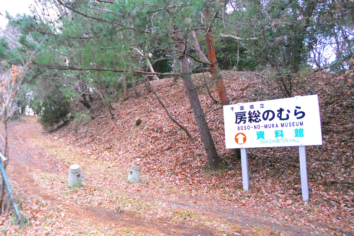 日本最大級の方墳も！千葉「龍角寺古墳群」古墳シンガーまりこふんのイチ推し。_900557