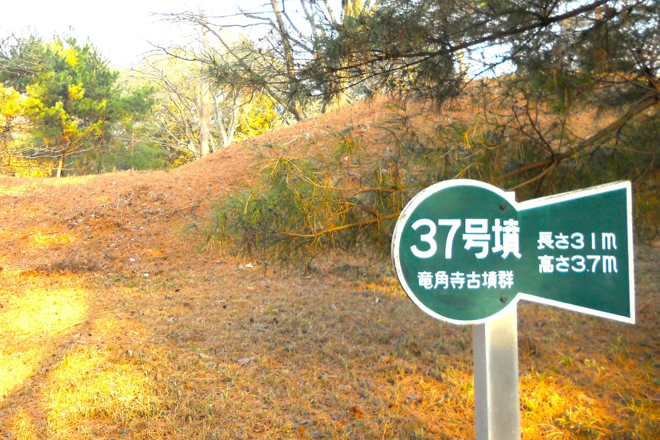 日本最大級の方墳も！千葉「龍角寺古墳群」古墳シンガーまりこふんのイチ推し。_900558
