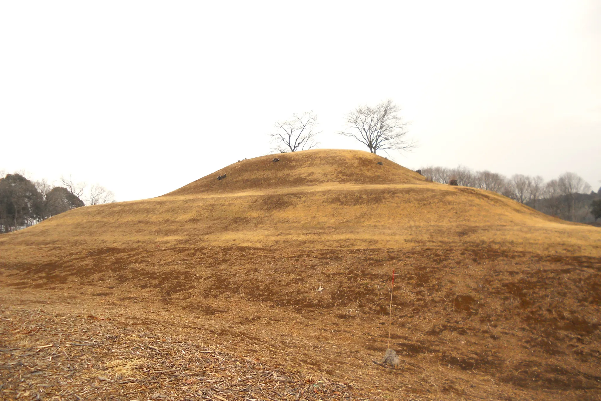 日本最大級の方墳も！千葉「龍角寺古墳群」古墳シンガーまりこふんのイチ推し。
