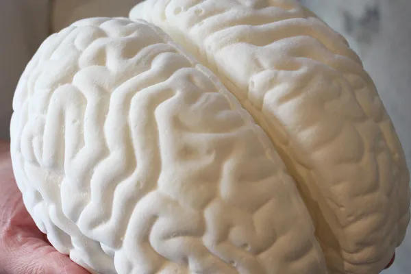 マシュマロの脳みそ!? リアルすぎると話題のハロウィン限定スイーツ5選