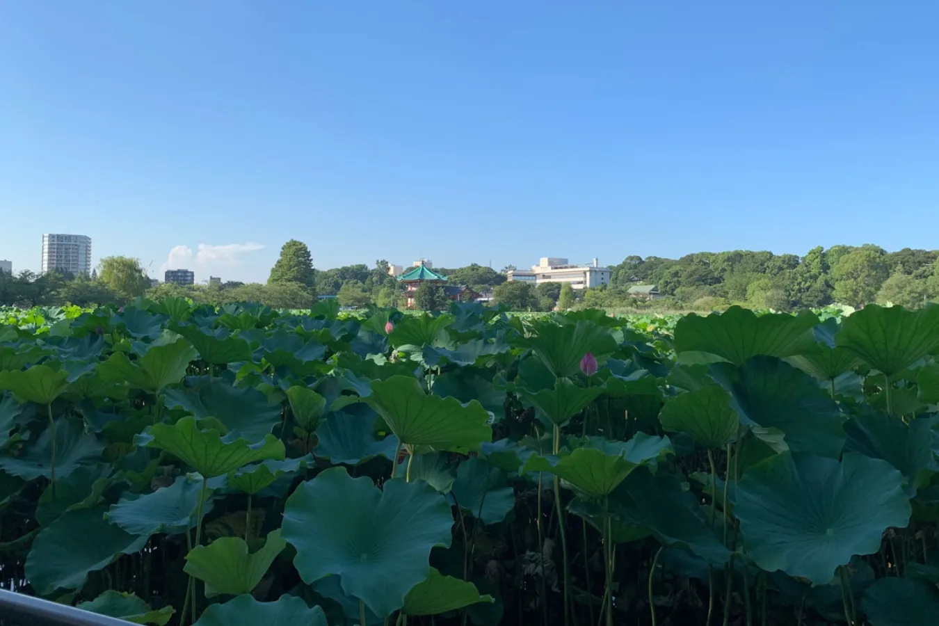 【読者投稿企画】「夏涼みスポット」第３弾エピソードを公開します！_2857640