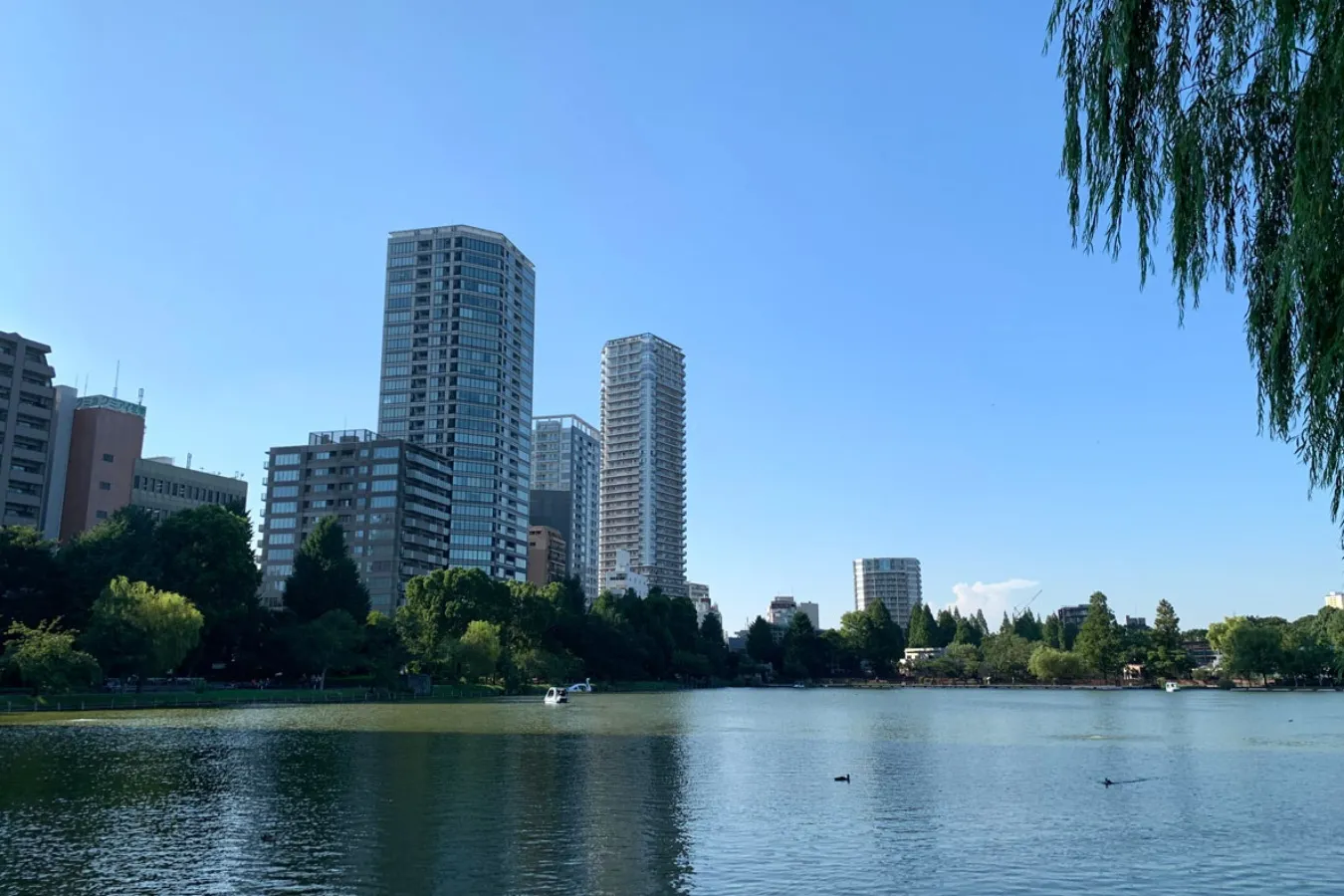 【読者投稿企画】「夏涼みスポット」第３弾エピソードを公開します！_2857641