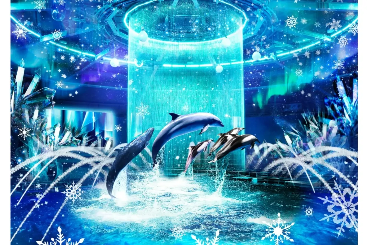 ▲ナイトVer.ドルフィンパフォーマンス：BRIGHT CRYSTAL