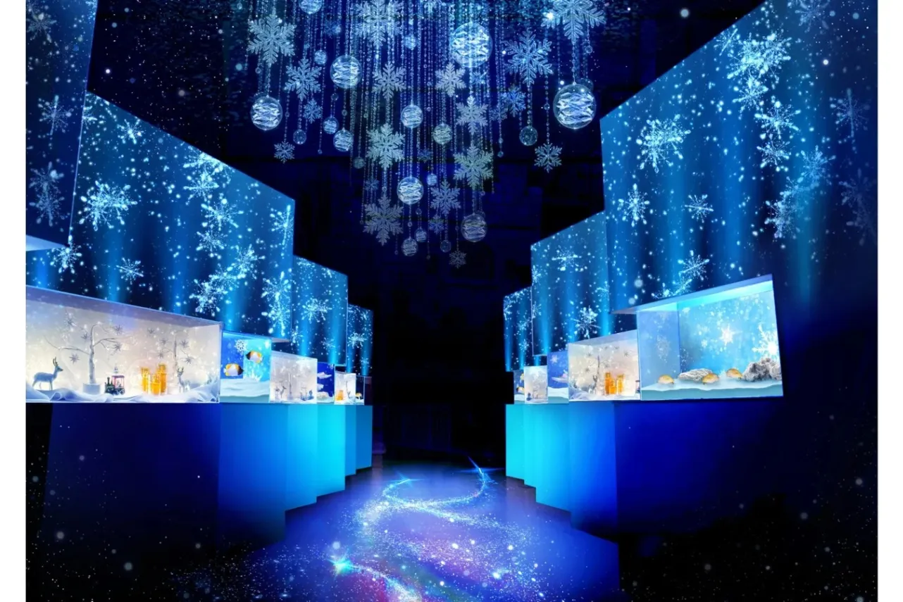 ▲展示エリア：WINTER COLOR STREET