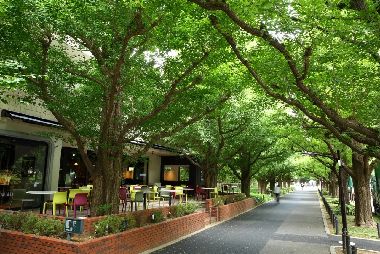 【キハチ 青山本店】桃が主役のアフタヌーンティーが登場_1557720