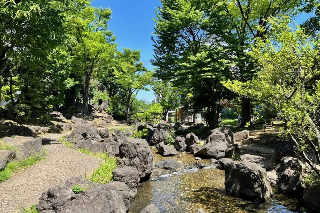 ▲花紅葉ゾーン（渓谷）