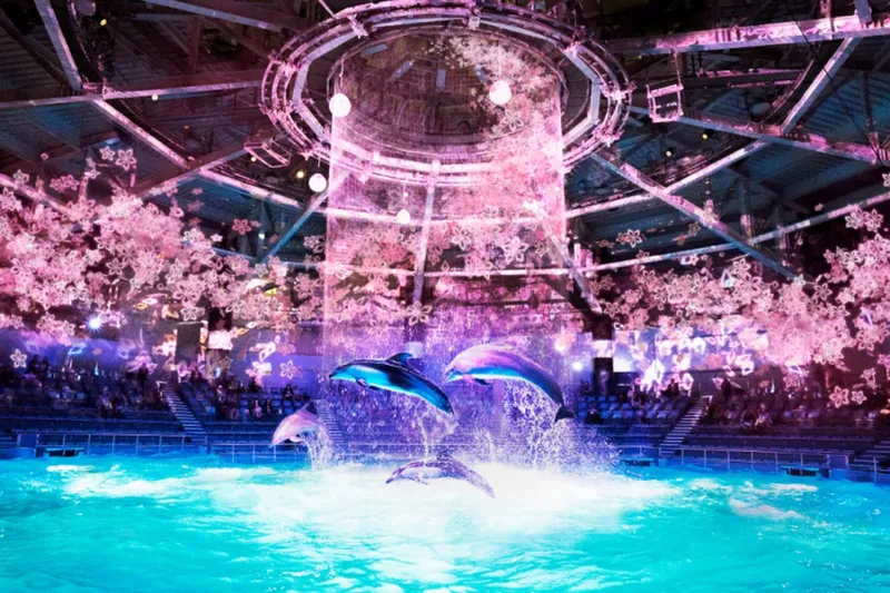 明日行ける東京イベントランキングTOP10！デジタルお花見からイチゴのデザートビュッフェまで【2018年4月5日版】