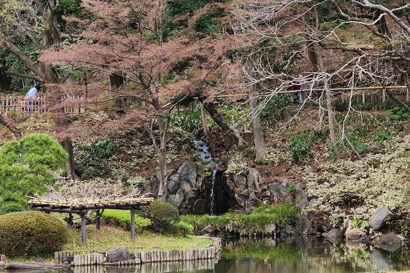 ▲提供：肥後細川庭園／近づくとこのように滝が見えてきます
