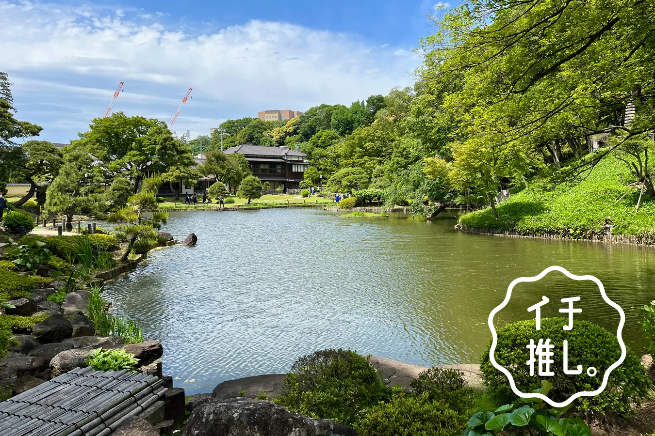無料で入れる大名庭園！早稲田「肥後細川庭園」／庭園インスタグラマー・イトウマサトシ連載