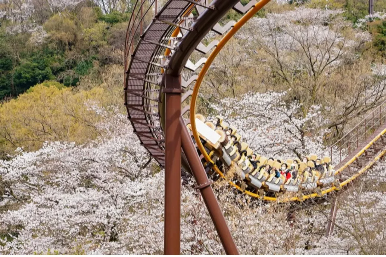 お花見デートするなら！外さないおすすめスポット8選【2026】_3369529