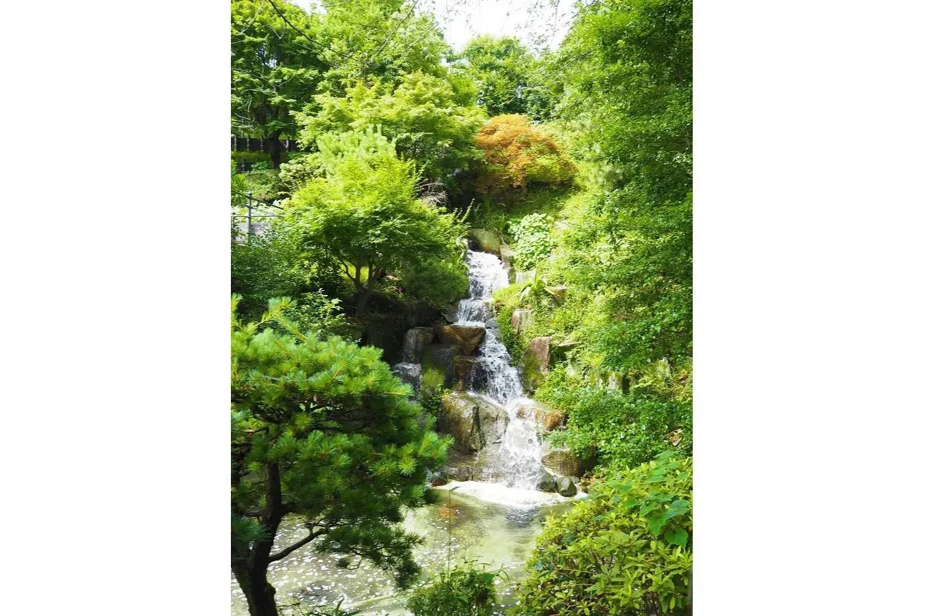 一年中“お花見”できる美術館も！中目黒の「レジャースポット」4選_1371669