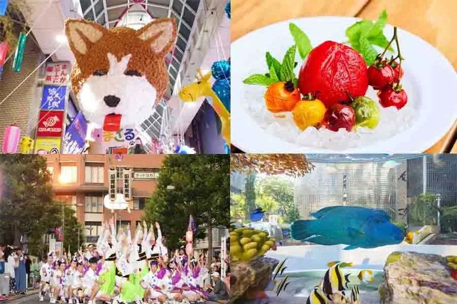 今日行ける注目イベント！阿佐谷七夕まつりにレモンサワー祭etc.東京イベントランキングTOP10【2019年8月3日版】