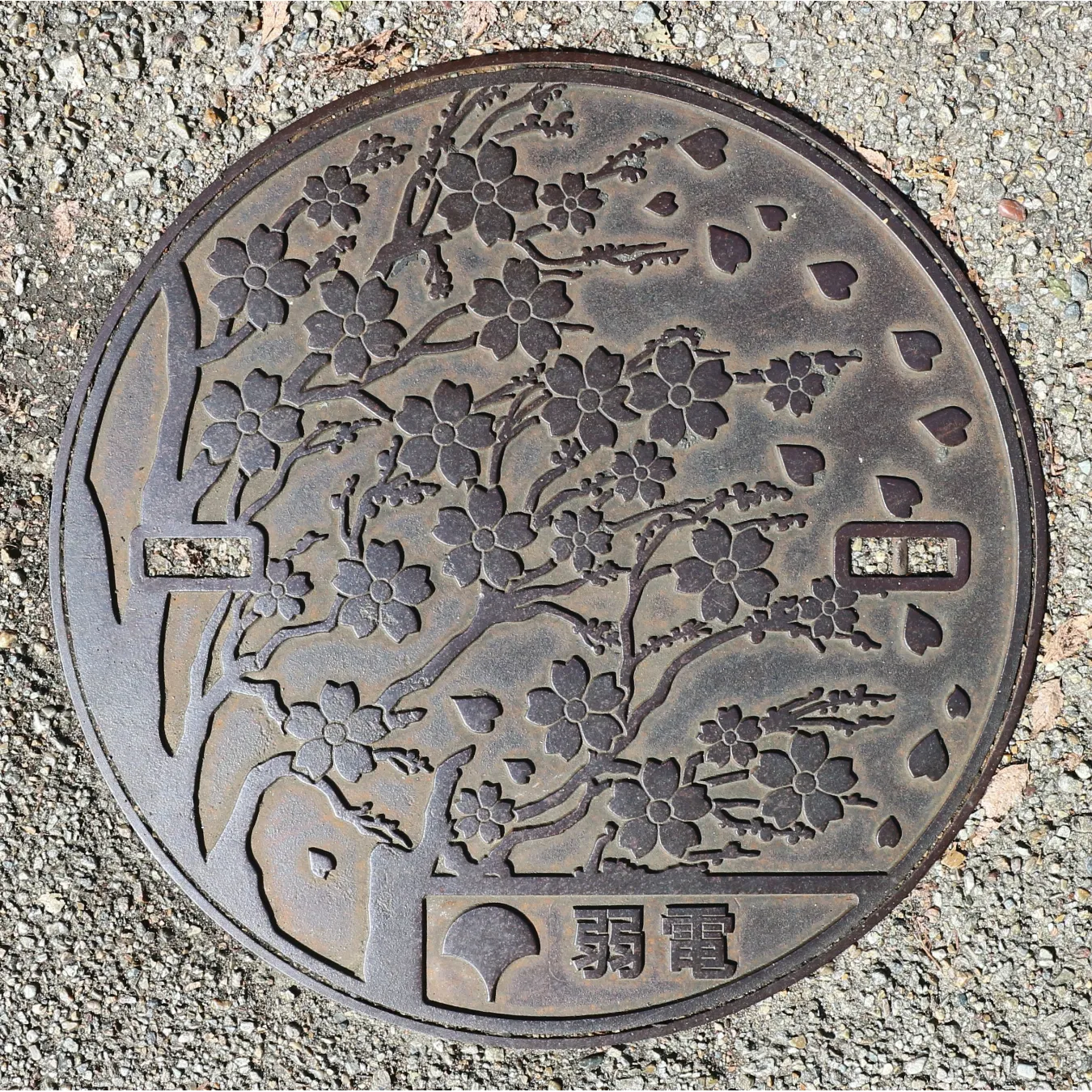 上野公園にのみ設置されている蓋で、「高圧」「低圧」「弱電」「光」の4種類があります