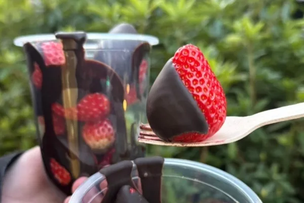 “生チョコたっぷり”いちごチョコ専門店「Strawberry choco」原宿にオープン