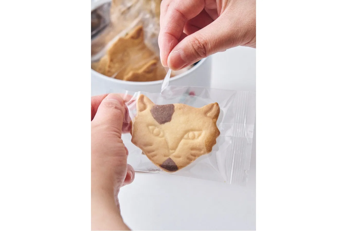 ▲「Miracle Cat Cookie Tin（神様のいたずらネコクッキー缶）」