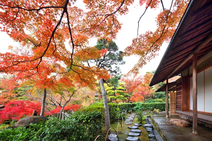表参道に京都レベルの美しすぎる紅葉スポット!?「根津美術館」の庭園で紅葉狩りデート