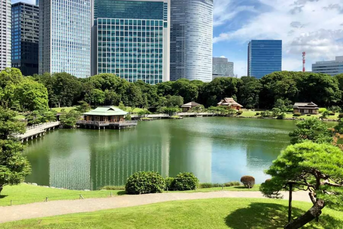 ▲写真提供：公益財団法人東京都公園協会