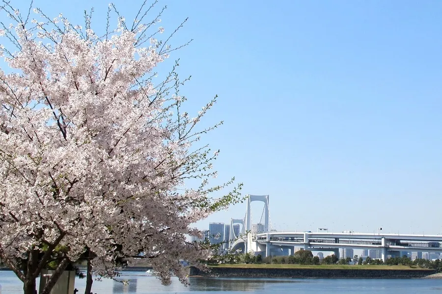 「お台場海浜公園」でのお花見デートに持っていきたい！お台場テイクアウトフード4選