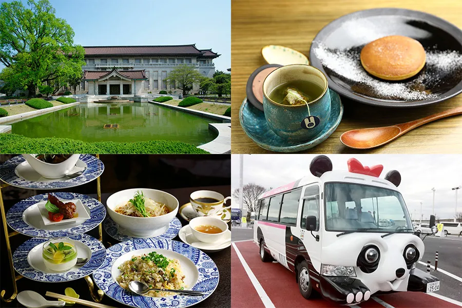 （PR）5月18日は博物館に老舗中華の限定ランチ、パンダバスもタダ！「上野ミュージアムウィーク」をとことん楽しもう！