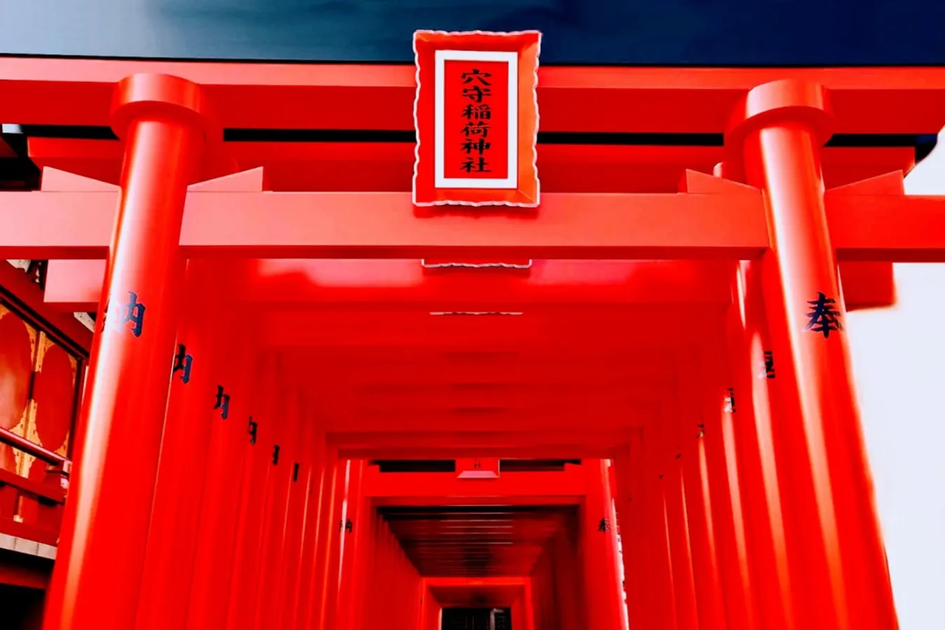▲千本鳥居