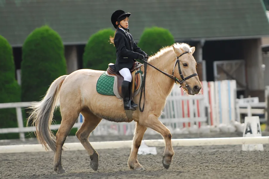 夏休み】子どもと一緒に楽しく乗馬体験♪ 話題のライディングスポット3選
