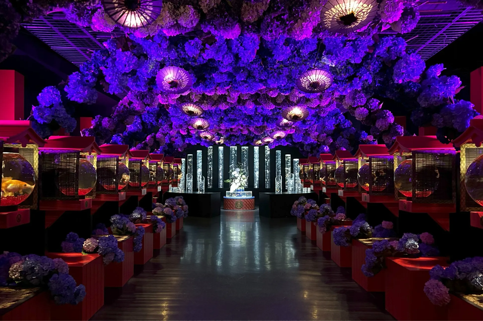 “藤＆紫陽花”テーマの金魚アートを取材レポ！「アートアクアリウム美術館 GINZA」で