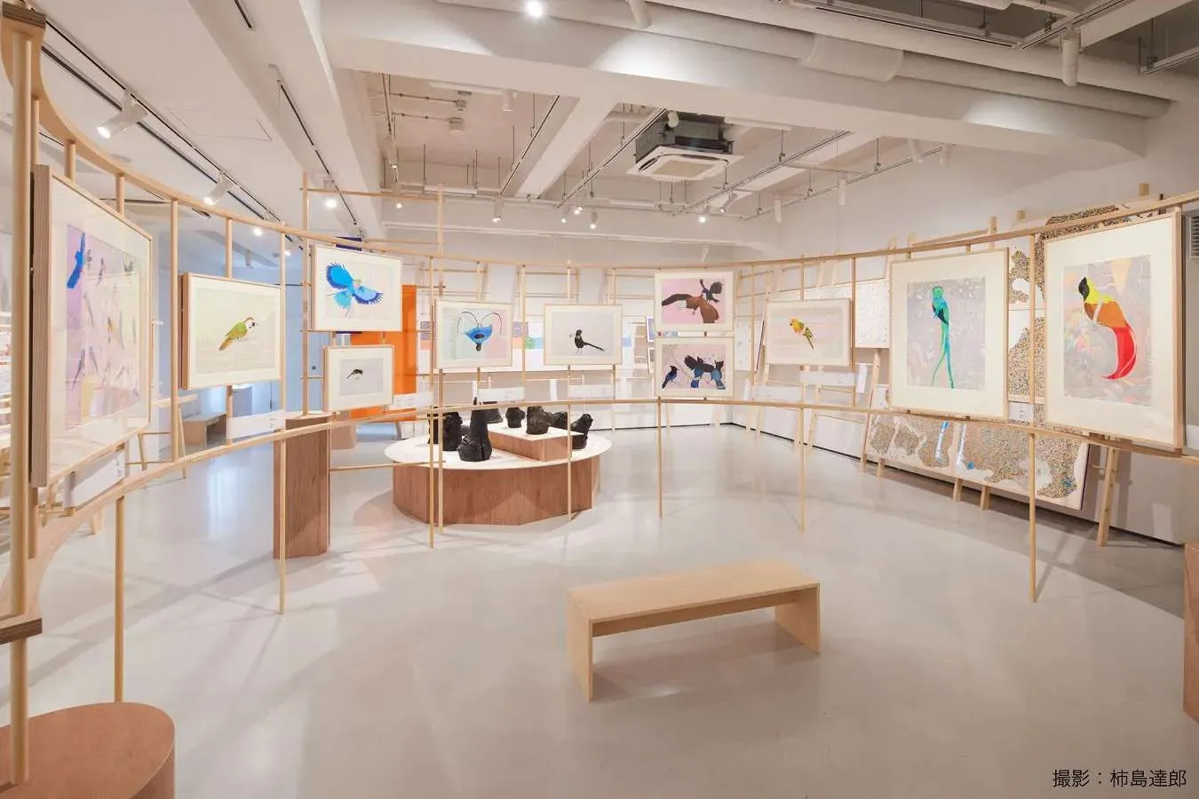 渋谷で散歩を楽しむなら！一人でも満喫できるオススメコースを紹介_3286784