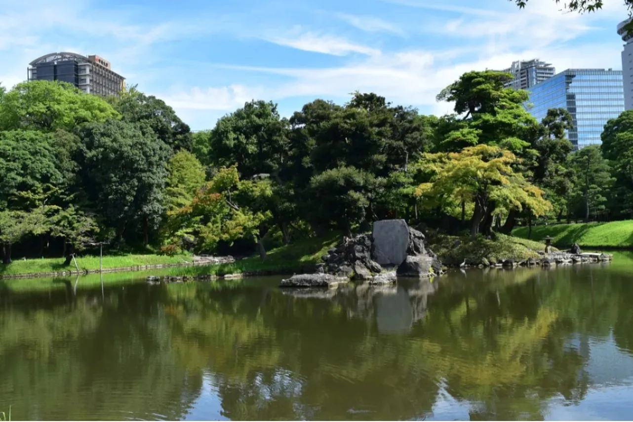 ▲大泉水 画像提供:公益財団法人東京都公園協会