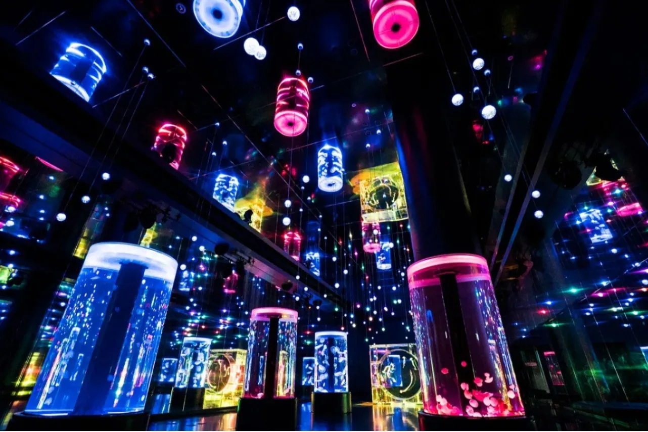 ▲クラゲ展示ゾーン_ジェリーフィッシュランブル