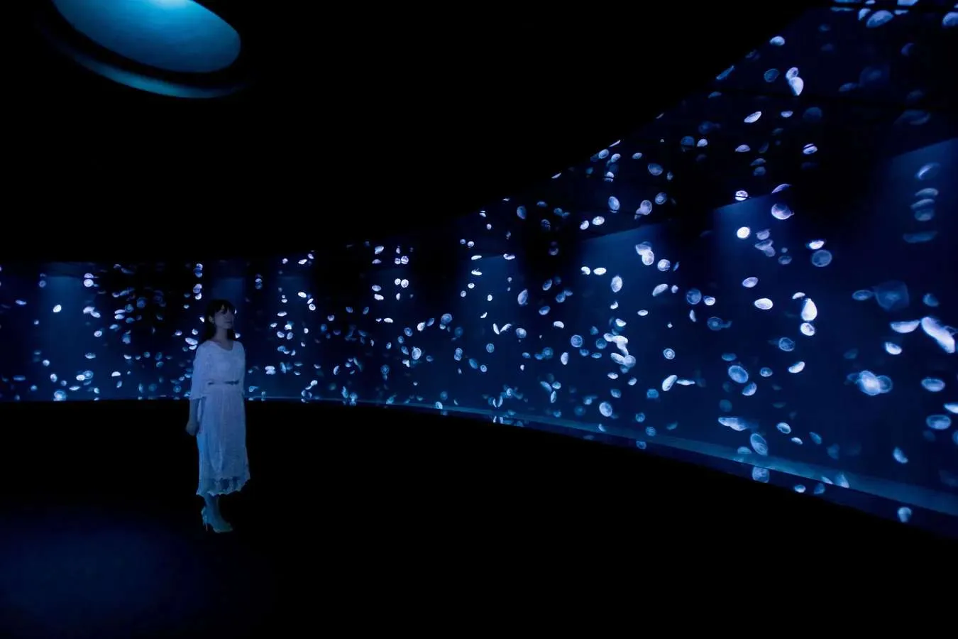 サンシャイン水族館
